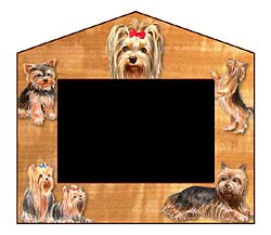 Picture Frame: Yorkshire Terrier