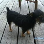 bobbin
