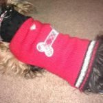 Him in his Jim Tressel Sweater