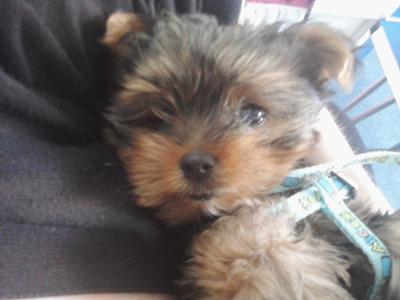 buster-21373966