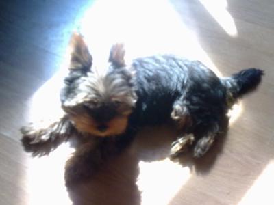 buster-21373967