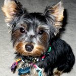 charly