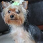 coco chanel