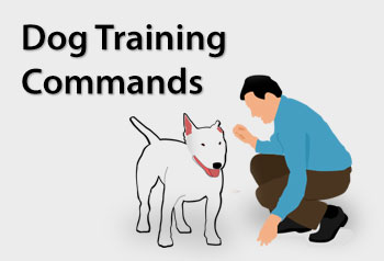 Dog Training Commands