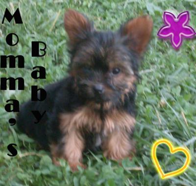 gizzy-cheyanne-21385751