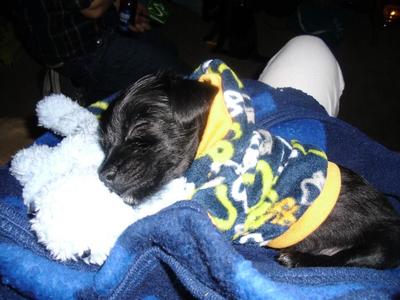 Louie snuggling up to his stuffed animal with his cute little jacket on