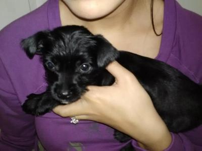 Louie's first night in his new home