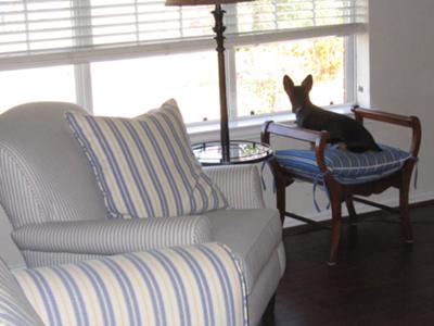 Watches out the window like it's a t.v.