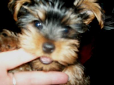 Mama's always taste yummy