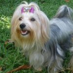 Amaia in the garden