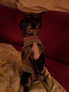 She loves to sit pretty!