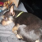 spicy