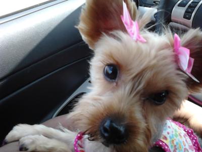 Pose for the camera, click click