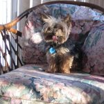 charlie