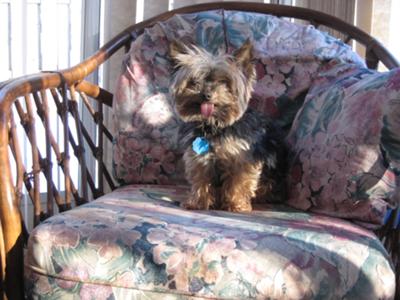 Do I look pretty mom?