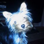 Bentley Boo sittin pretty