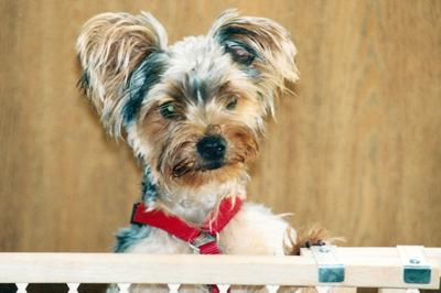 Soli at 8 months old