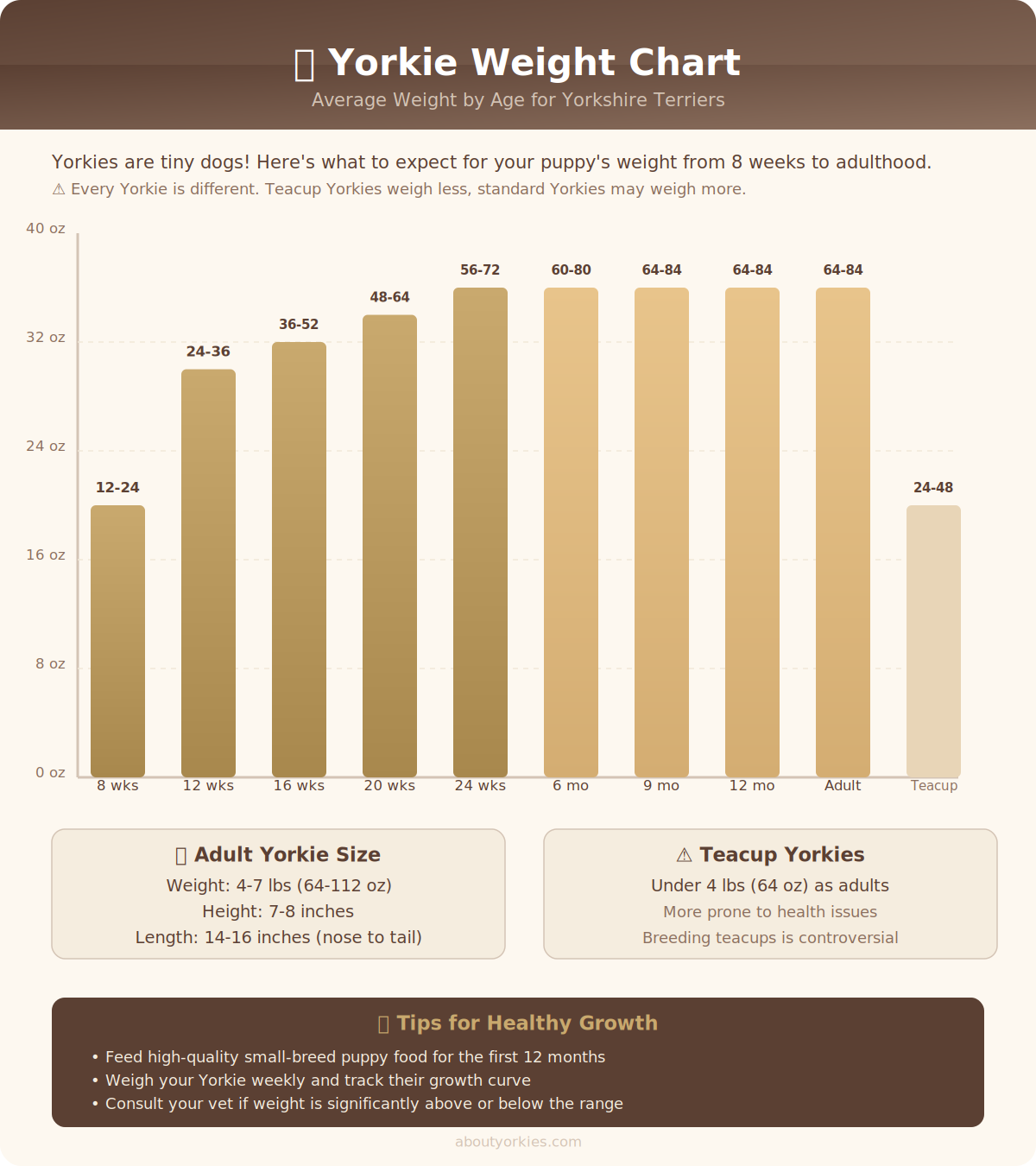 Yorkie weight chart infographic showing average weight ranges from birth to adulthood